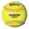 Wilson A9106BASA ASA 12" Fastpitch Softball-Dozen -Bats Shop wilson a9106basa asa 12 fastpitch softball dozen 32 22519.1569698117