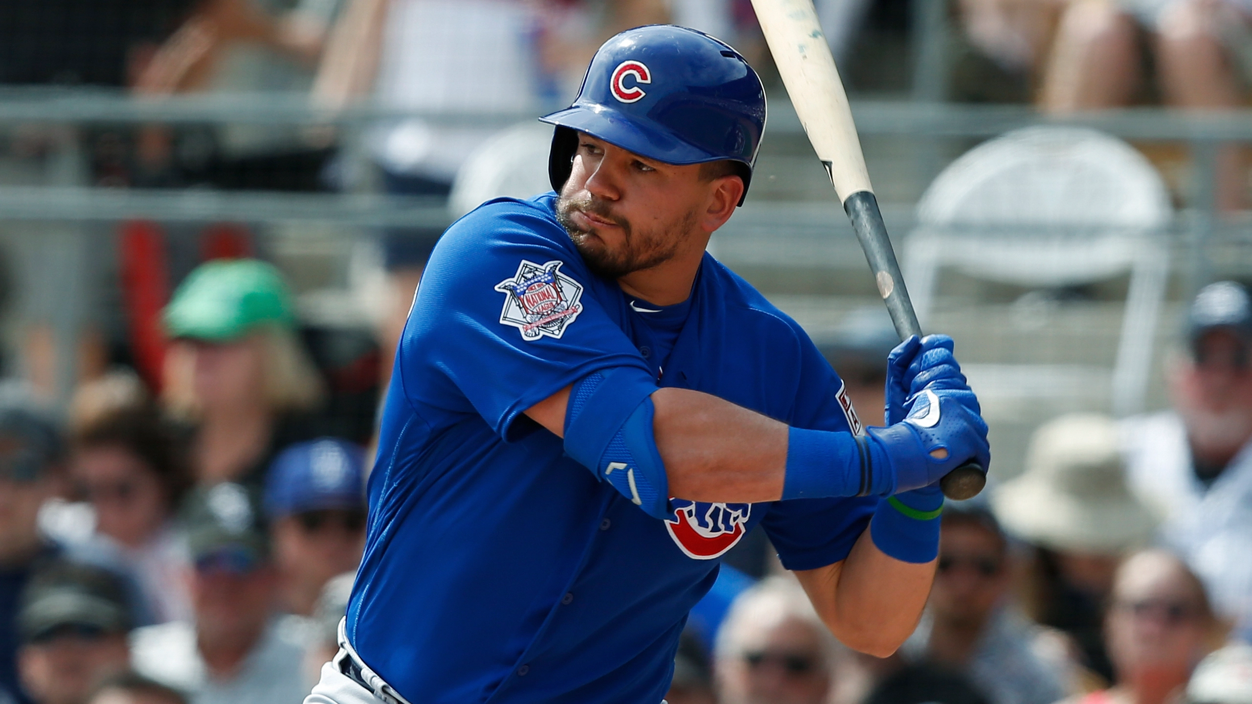 Bats Shop -Bats Shop 425a68cdd3c449889cb173f73df1b02e