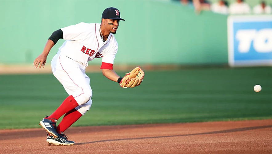 Bats Shop -Bats Shop Screen Shot 2019 12 05 at 10.07.22 AM copy